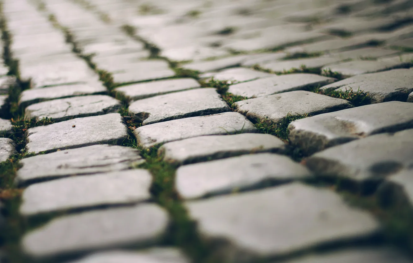 Photo wallpaper road, grass, stones