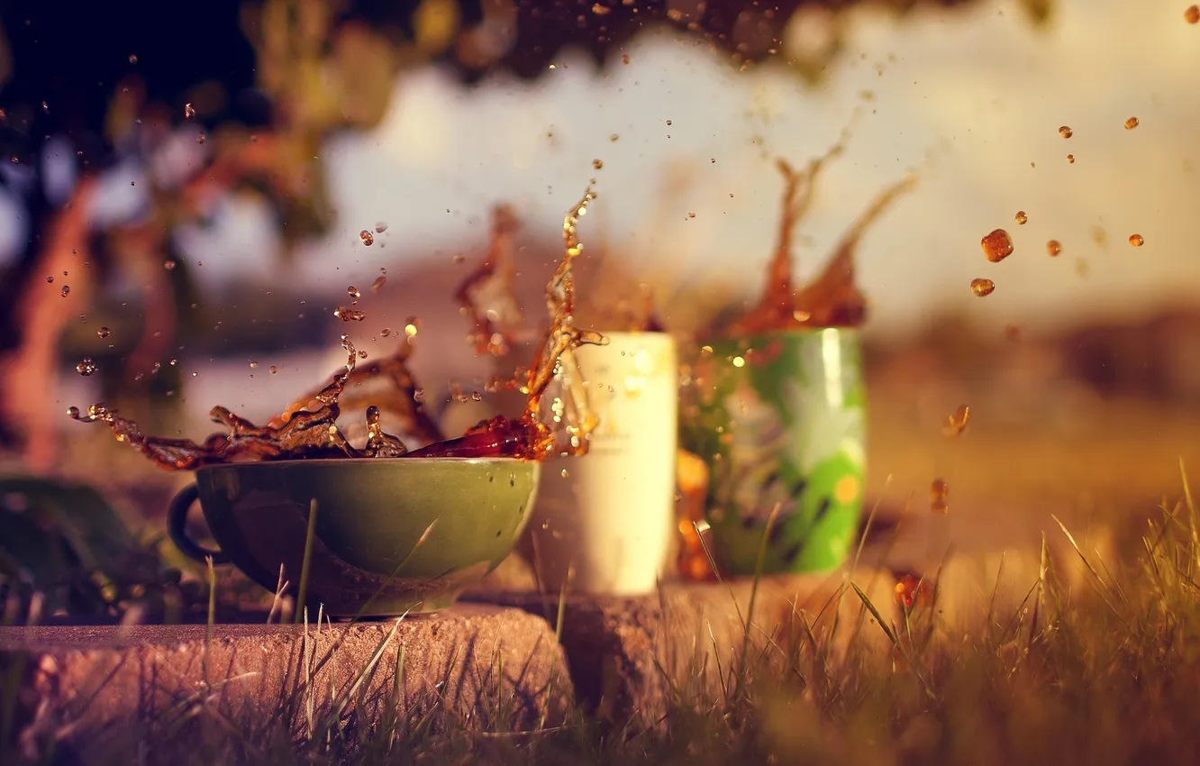 Photo wallpaper grass, macro, squirt, background, mood, widescreen, Wallpaper, tea