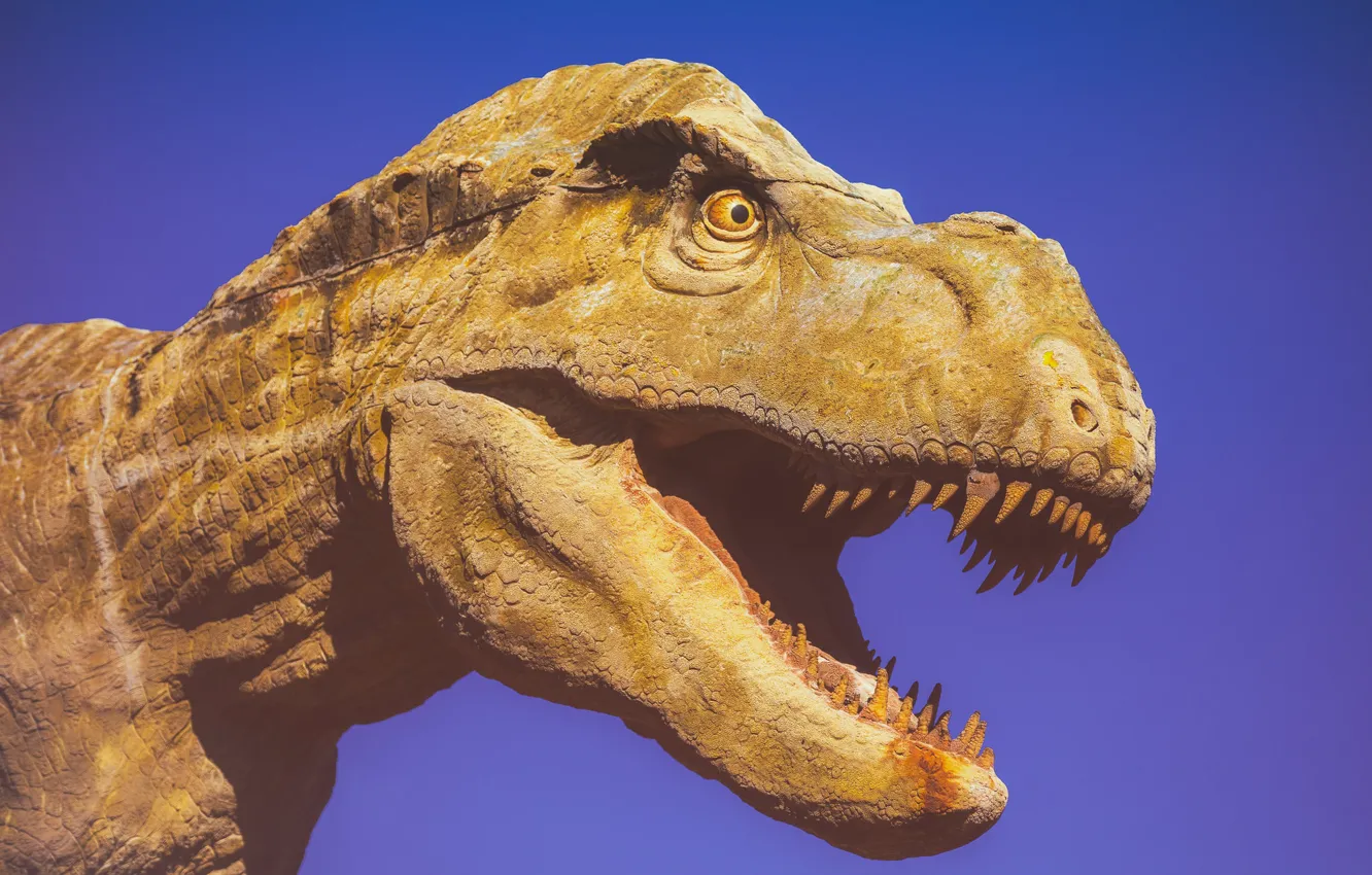 Photo wallpaper dinosaur, mouth, fangs
