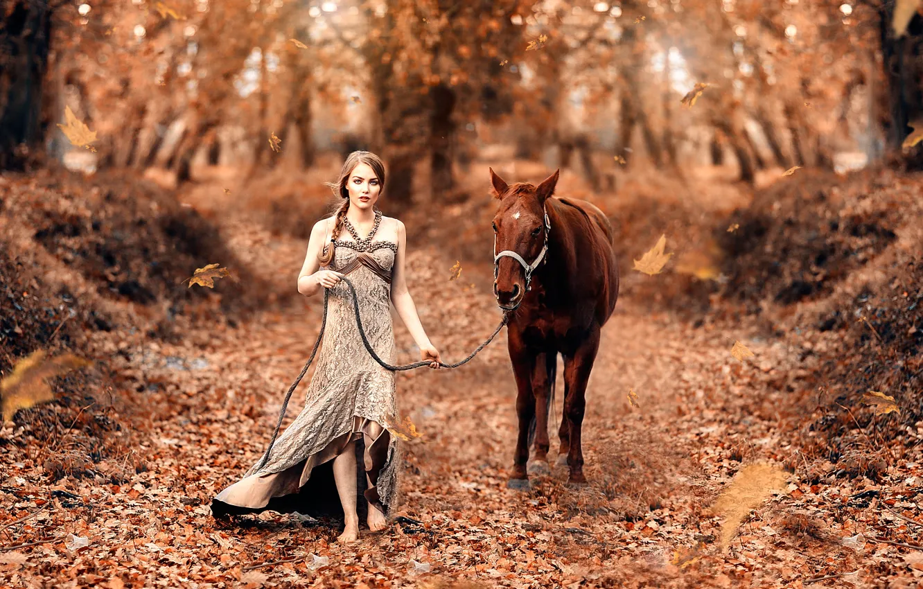 Photo wallpaper autumn, leaves, girl, horse, Fairy tale, Alessandro Di Cicco