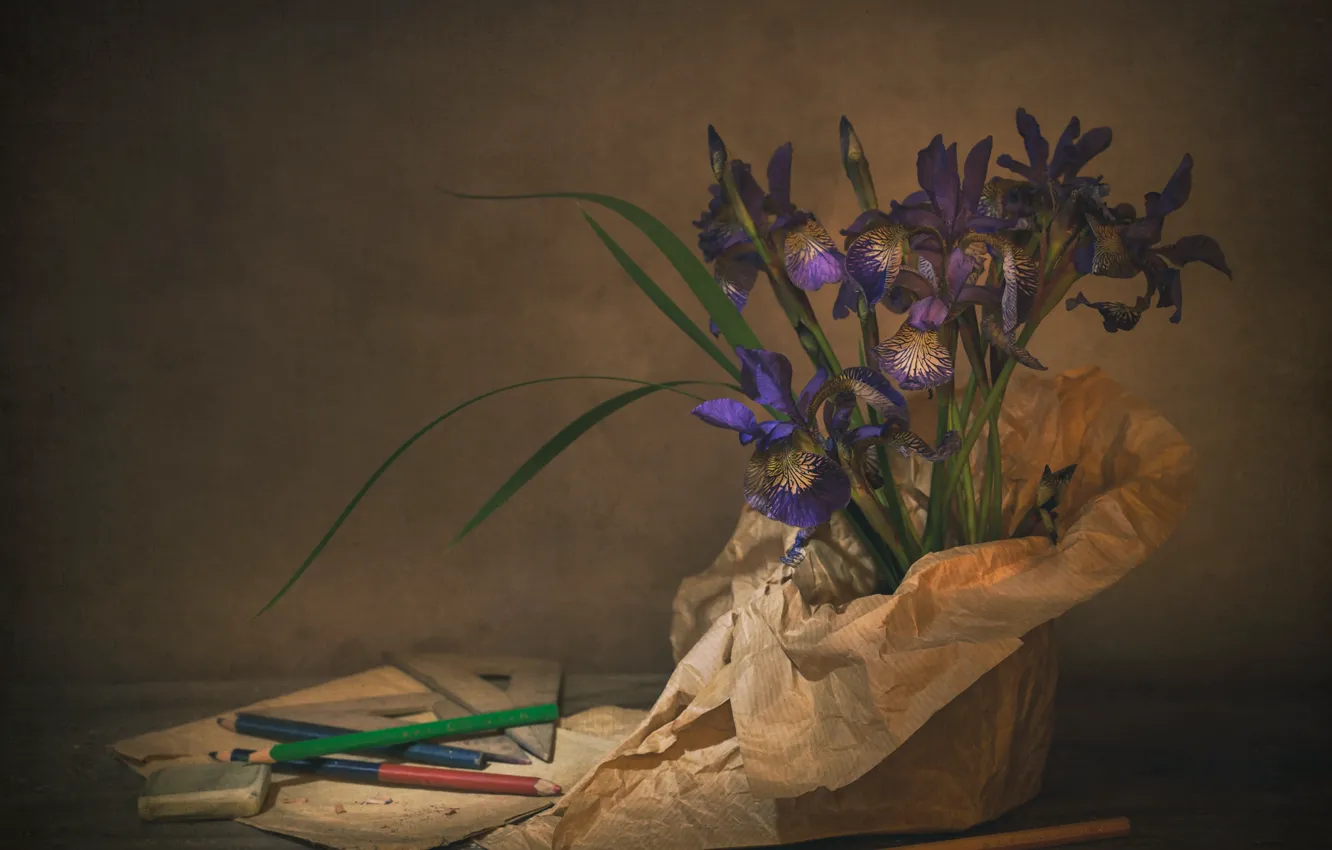 Photo wallpaper pencils, still life, irises
