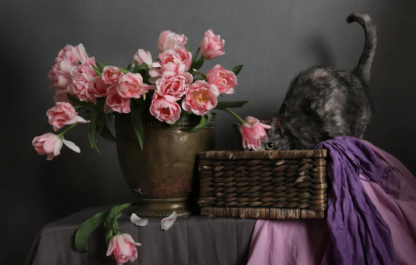 Photo wallpaper cat, cat, look, flowers, pose, table, grey, bouquet