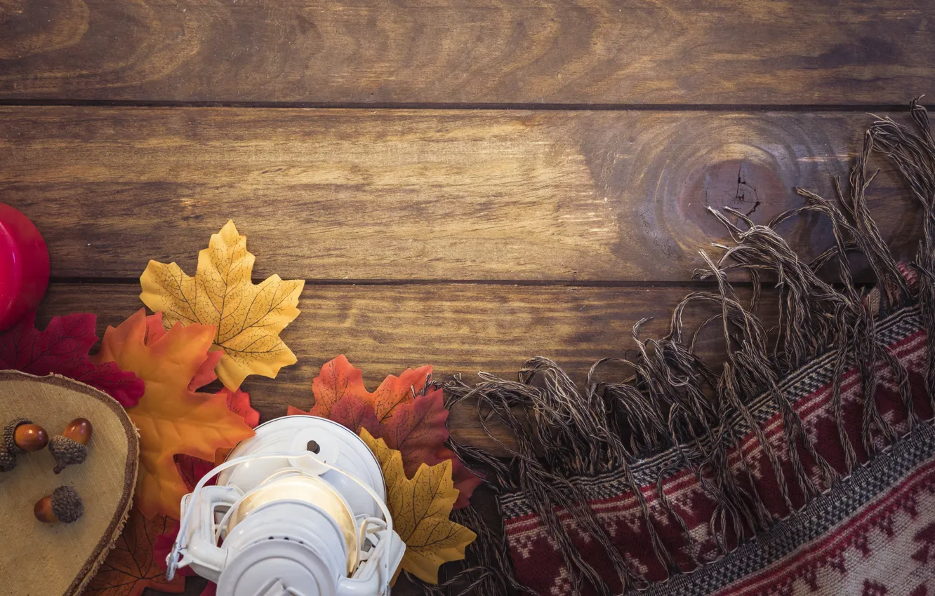 Photo wallpaper autumn, leaves, tree, colorful, scarf, lantern, wood, acorns