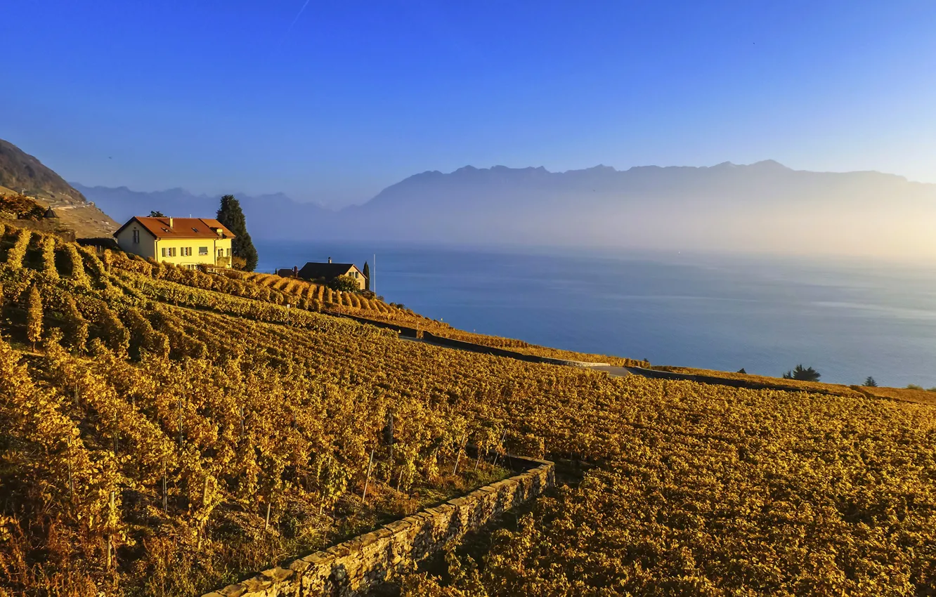 Photo wallpaper field, autumn, the sun, mountains, fog, lake, dawn, morning