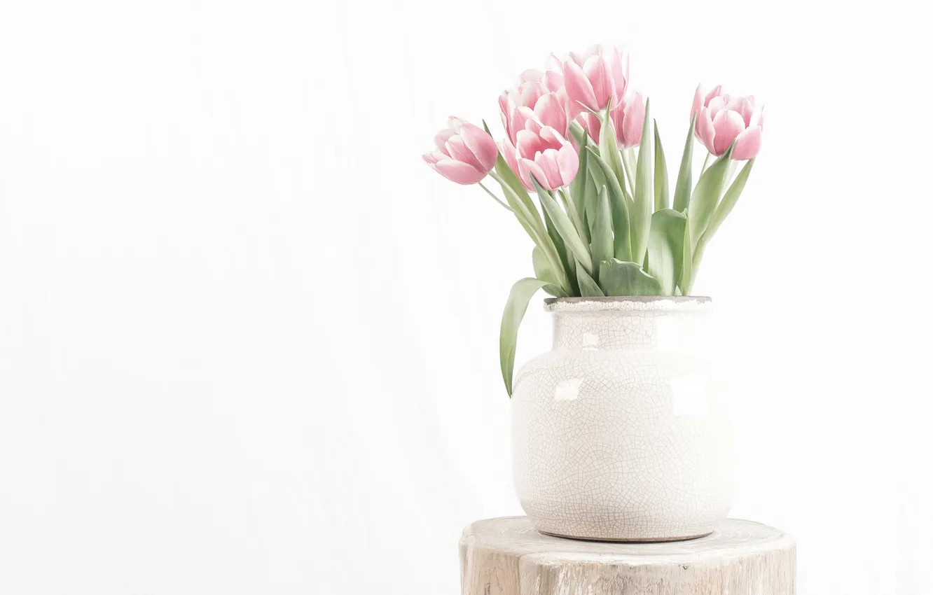 Photo wallpaper flowers, stump, bouquet, spring, tulips, white background, vase, pink
