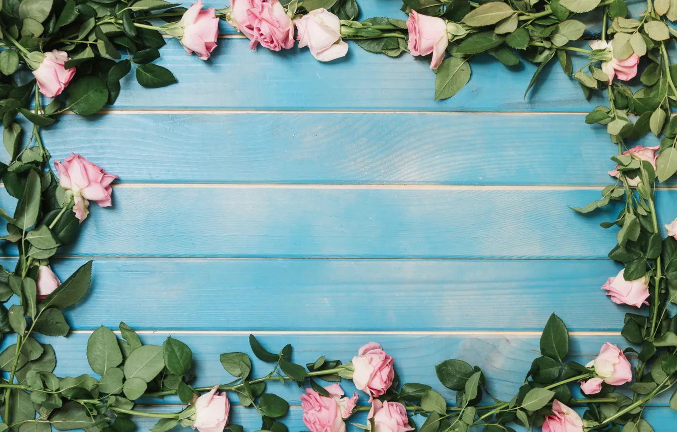 Photo wallpaper roses, colorful, summer, pink, wood, blue, pink, flowers