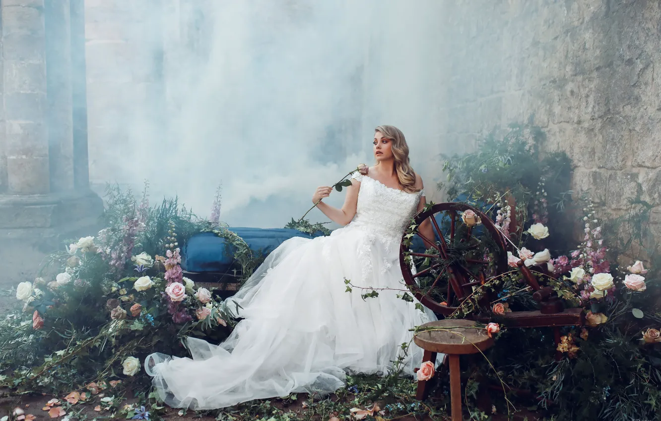 Photo wallpaper girl, flowers, pose, dress, Bird Man, spinning wheel