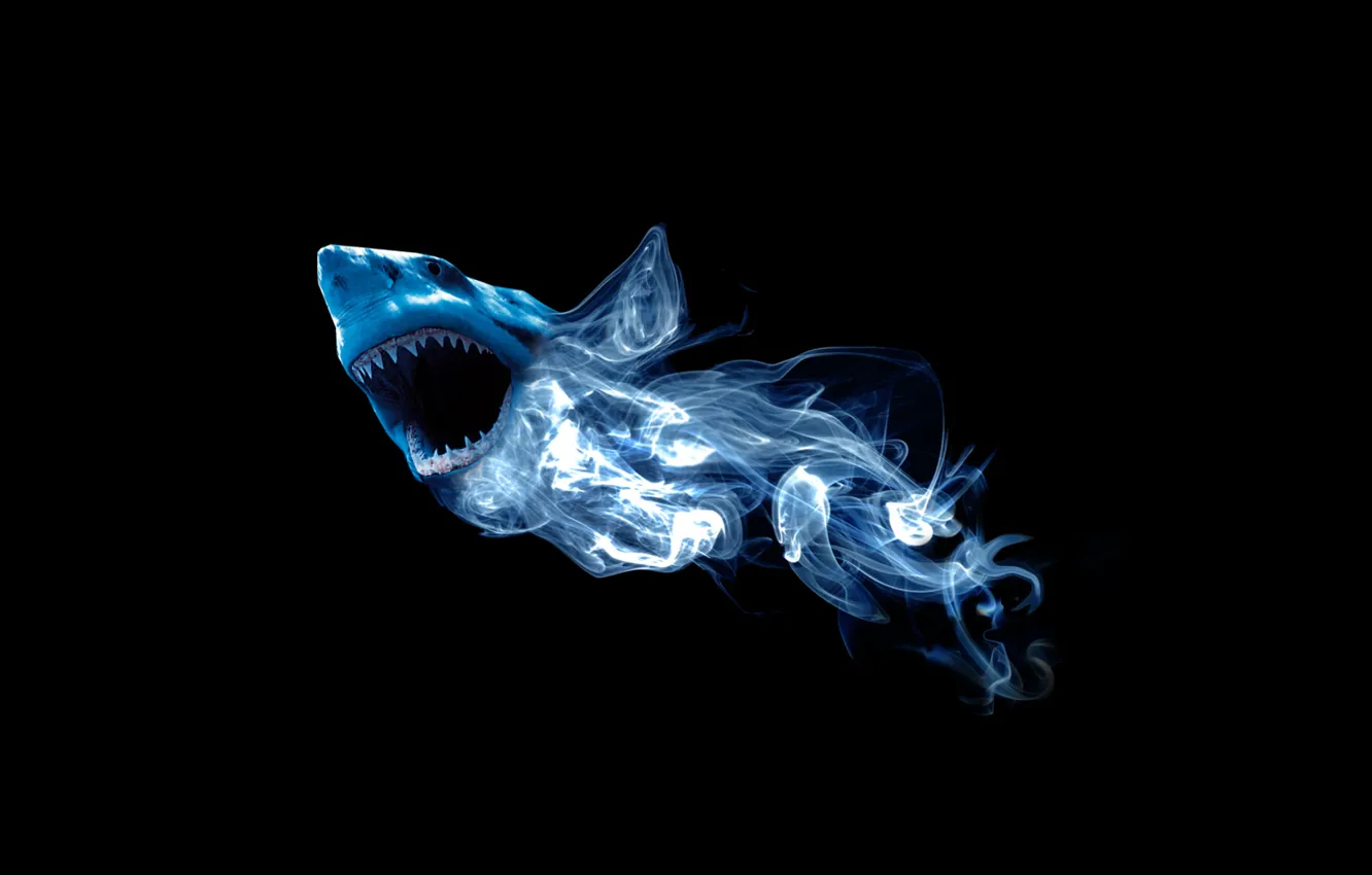 Photo wallpaper abstraction, smoke, shark