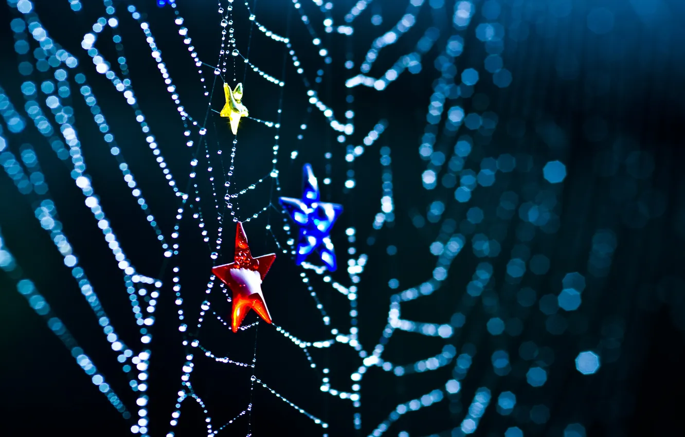 Photo wallpaper macro, color, web, stars, macro