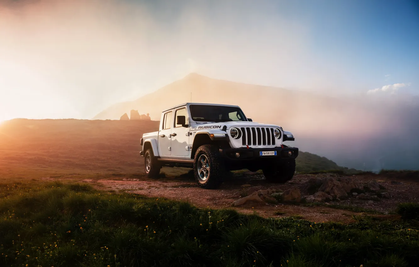 Photo wallpaper white, light, vegetation, SUV, pickup, Gladiator, 4x4, Jeep