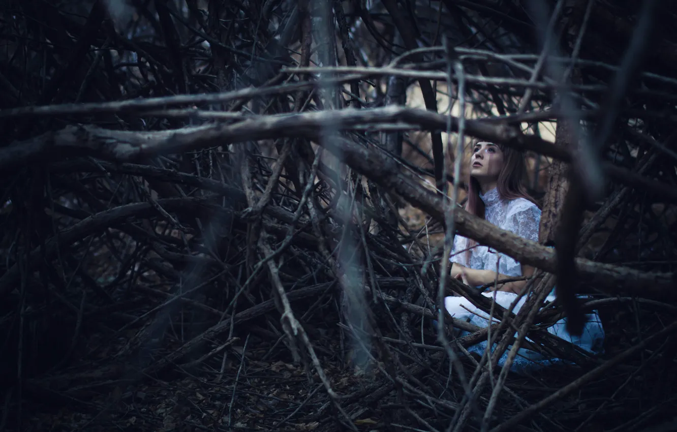 Photo wallpaper forest, girl, branches