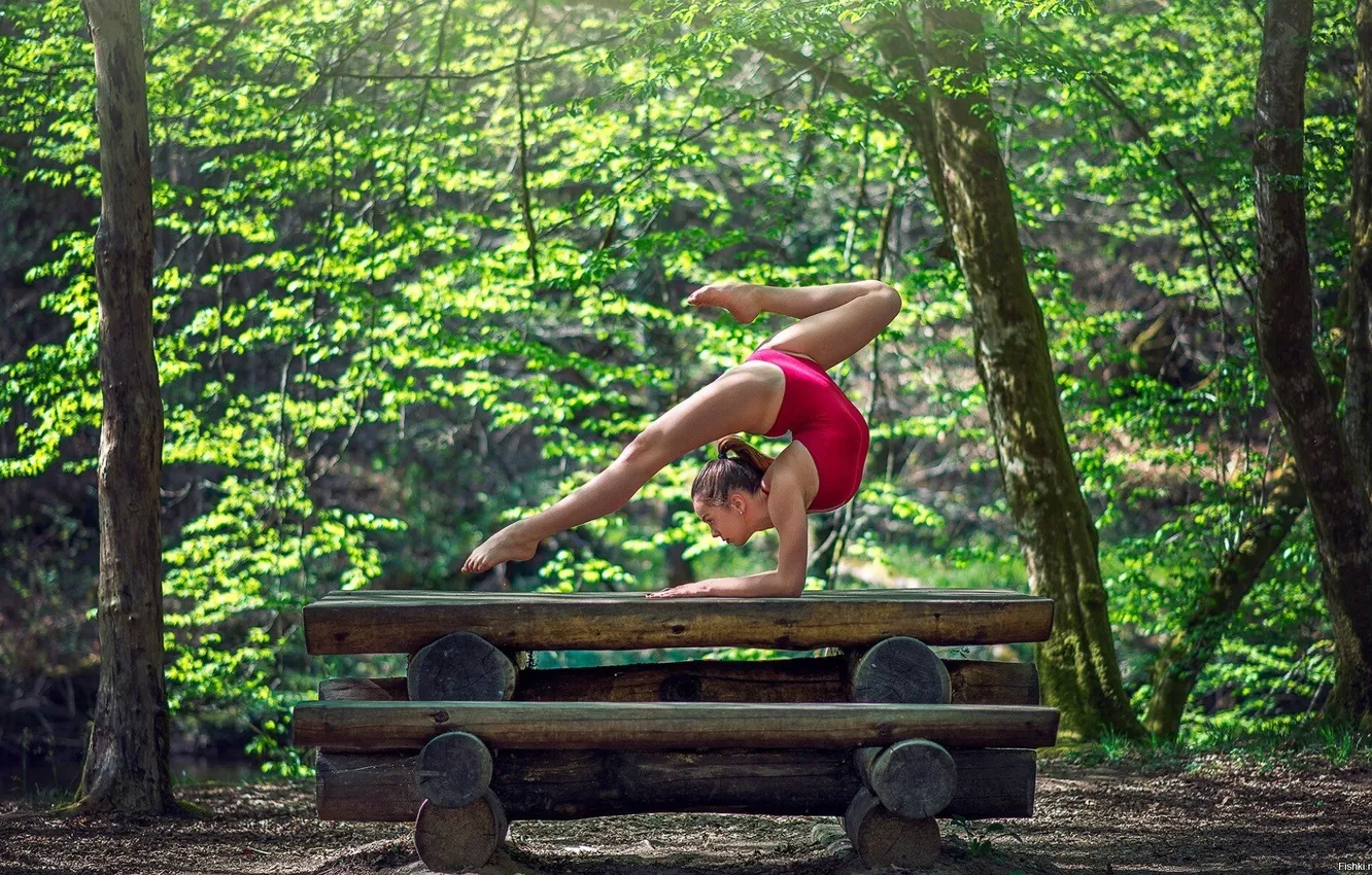 Photo wallpaper forest, trees, pose, model, beauty, ballerina, model, beauty