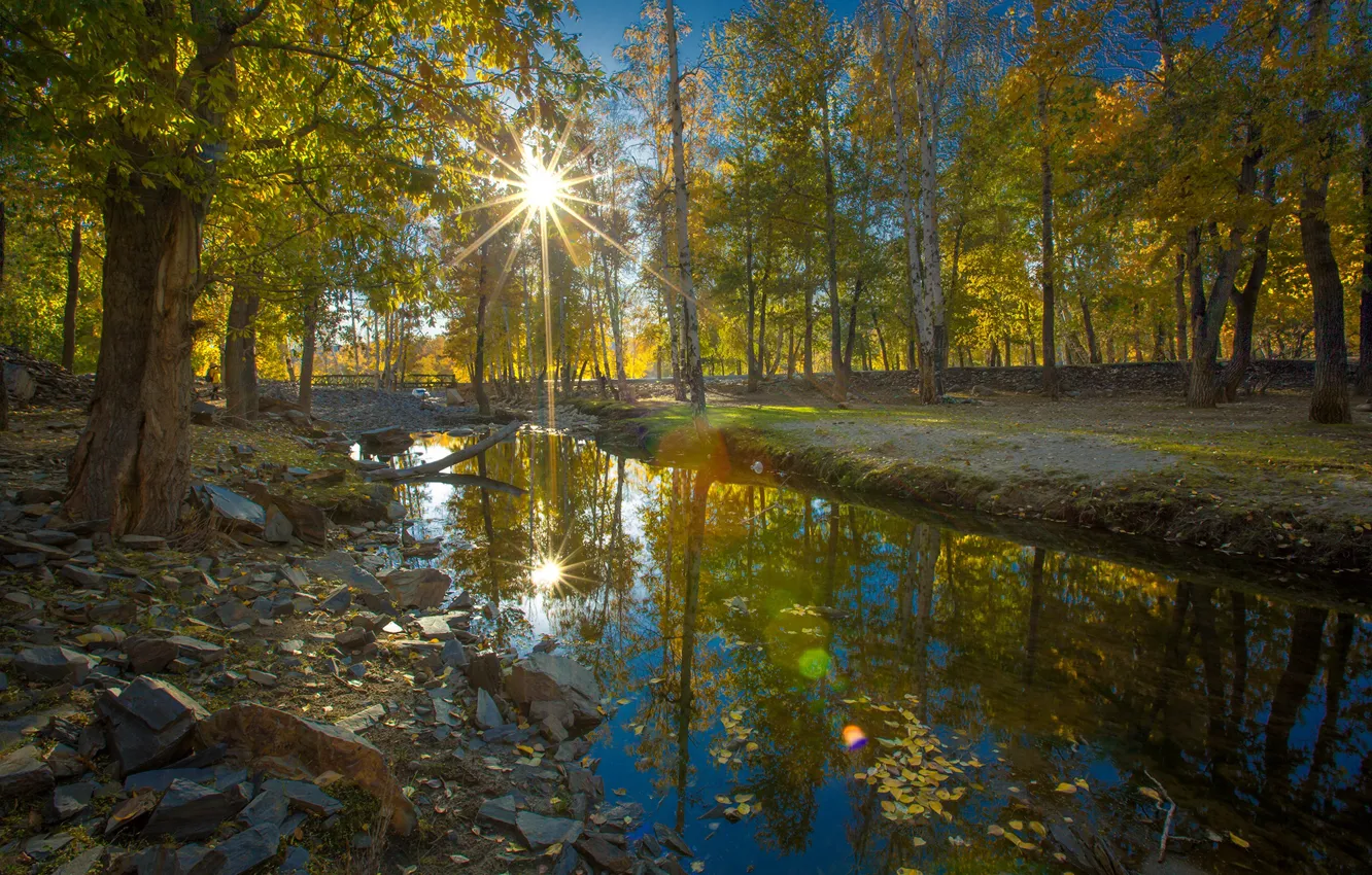 Photo wallpaper autumn, rays, trees, stream