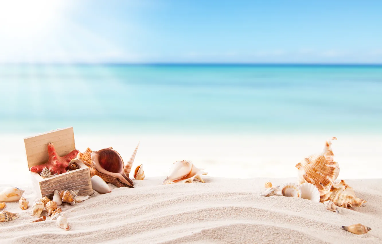 Photo wallpaper sand, sea, beach, summer, the sun, shell, summer, beach