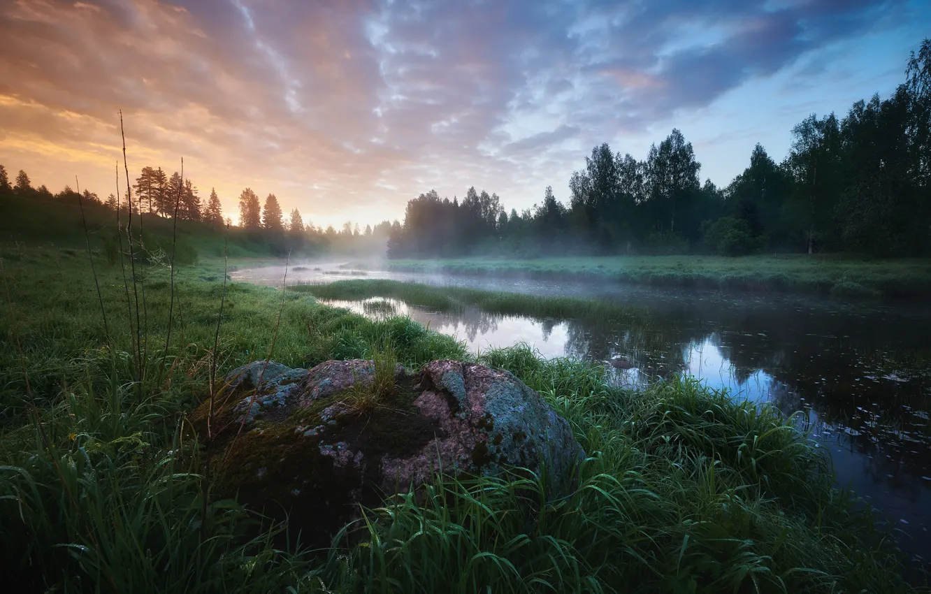 Photo wallpaper forest, summer, the sky, grass, clouds, trees, fog, lake