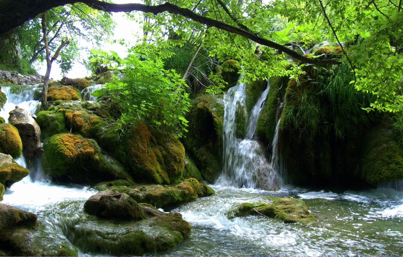Photo wallpaper greens, leaves, branches, stones, moss, Croatia, Waterfalls, Plitvice lakes