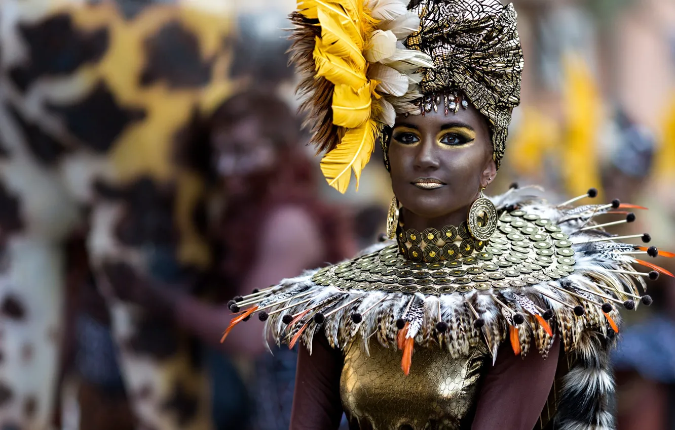 Photo wallpaper look, girl, metal, face, style, portrait, feathers, makeup