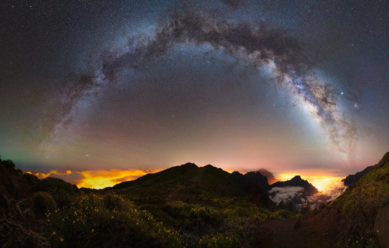 Photo wallpaper the sky, space, stars, light, flowers, mountains, night, lights
