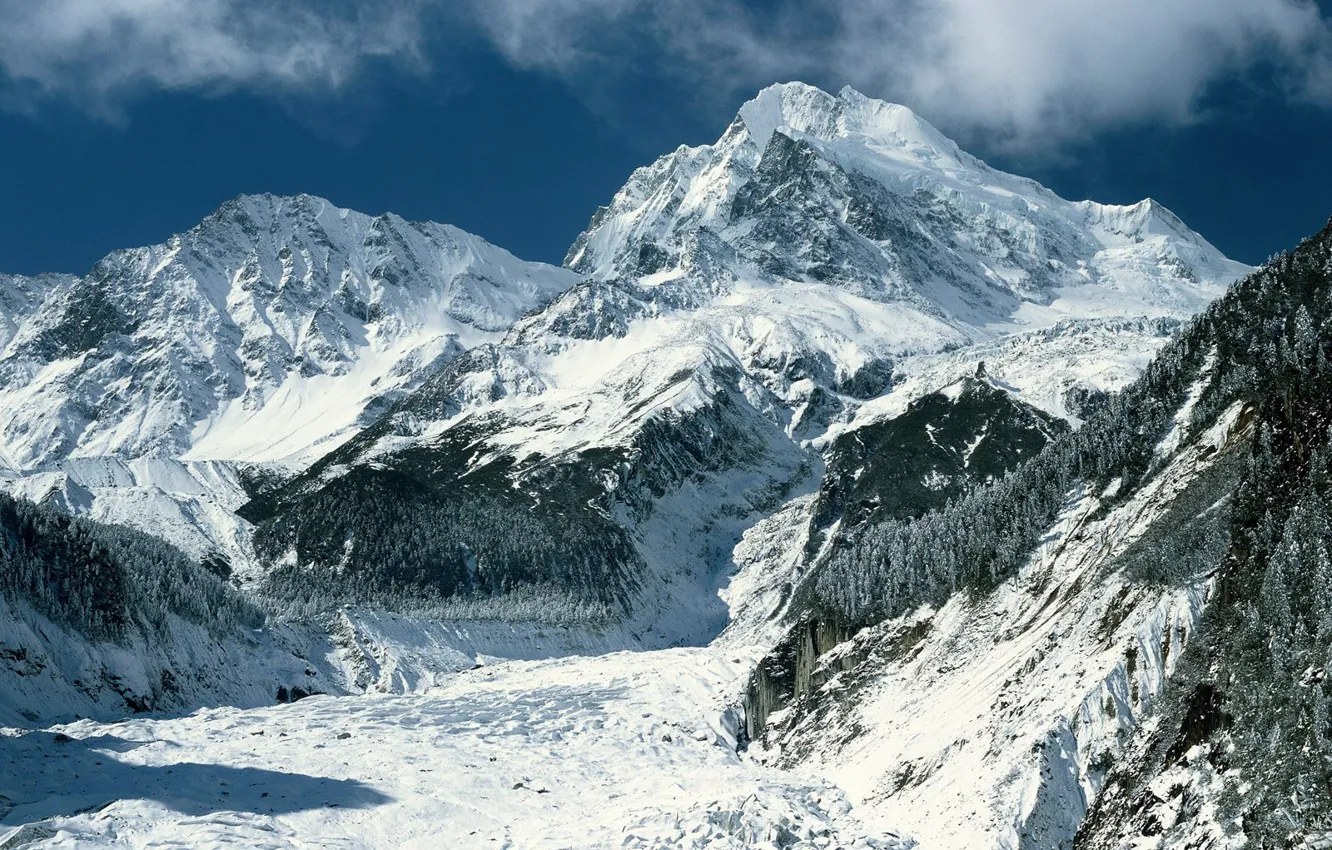 Photo wallpaper winter, forest, the sky, clouds, snow, mountains, tree