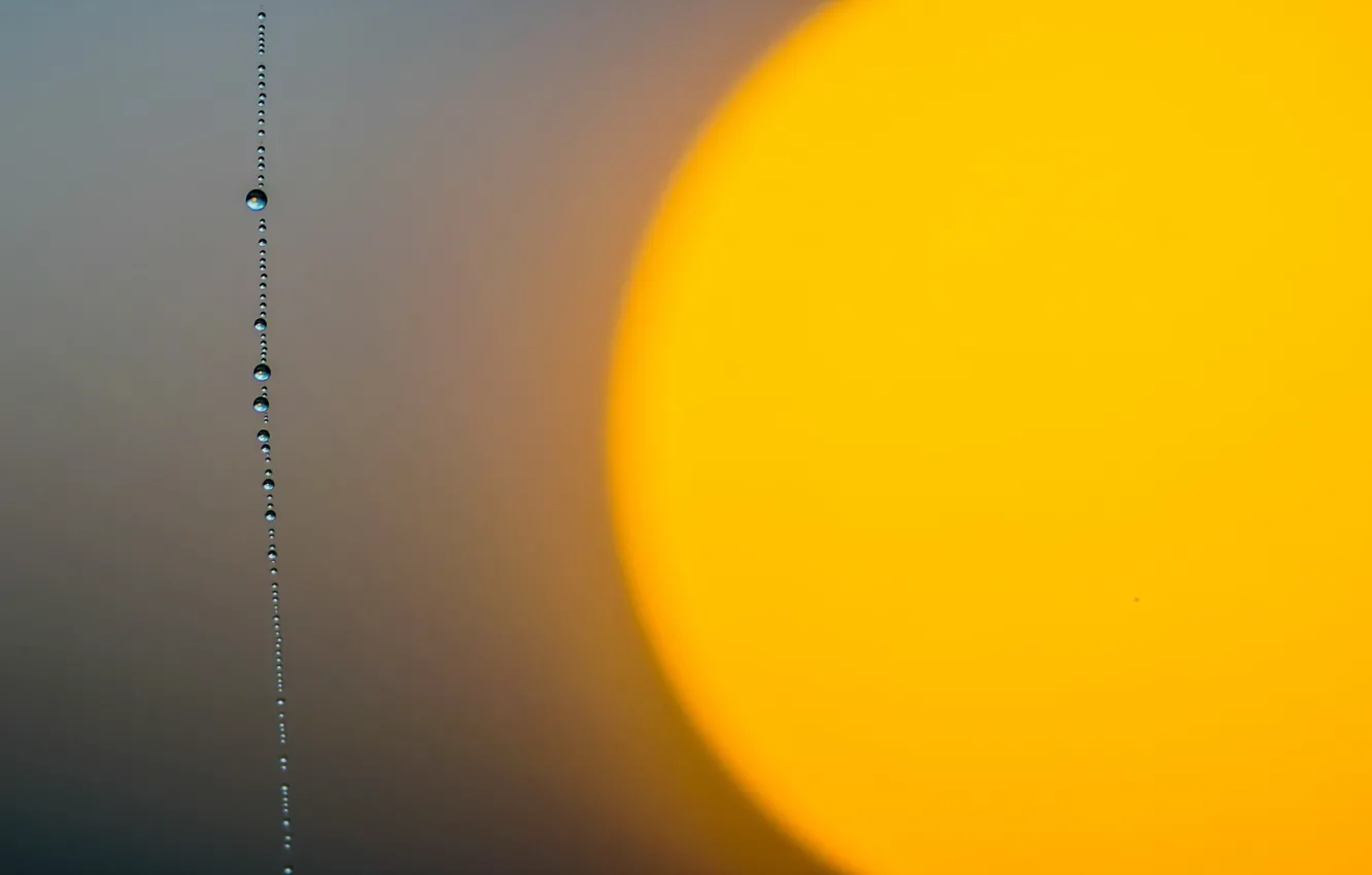 Photo wallpaper drops, background, minimalism