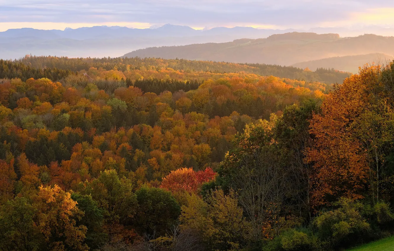 Photo wallpaper autumn, forest, clouds, light, mountains, yellow, fog, hills