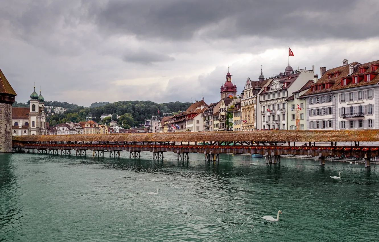 Photo wallpaper bridge, river, building, tower, Switzerland, swans, Switzerland, Lucerne