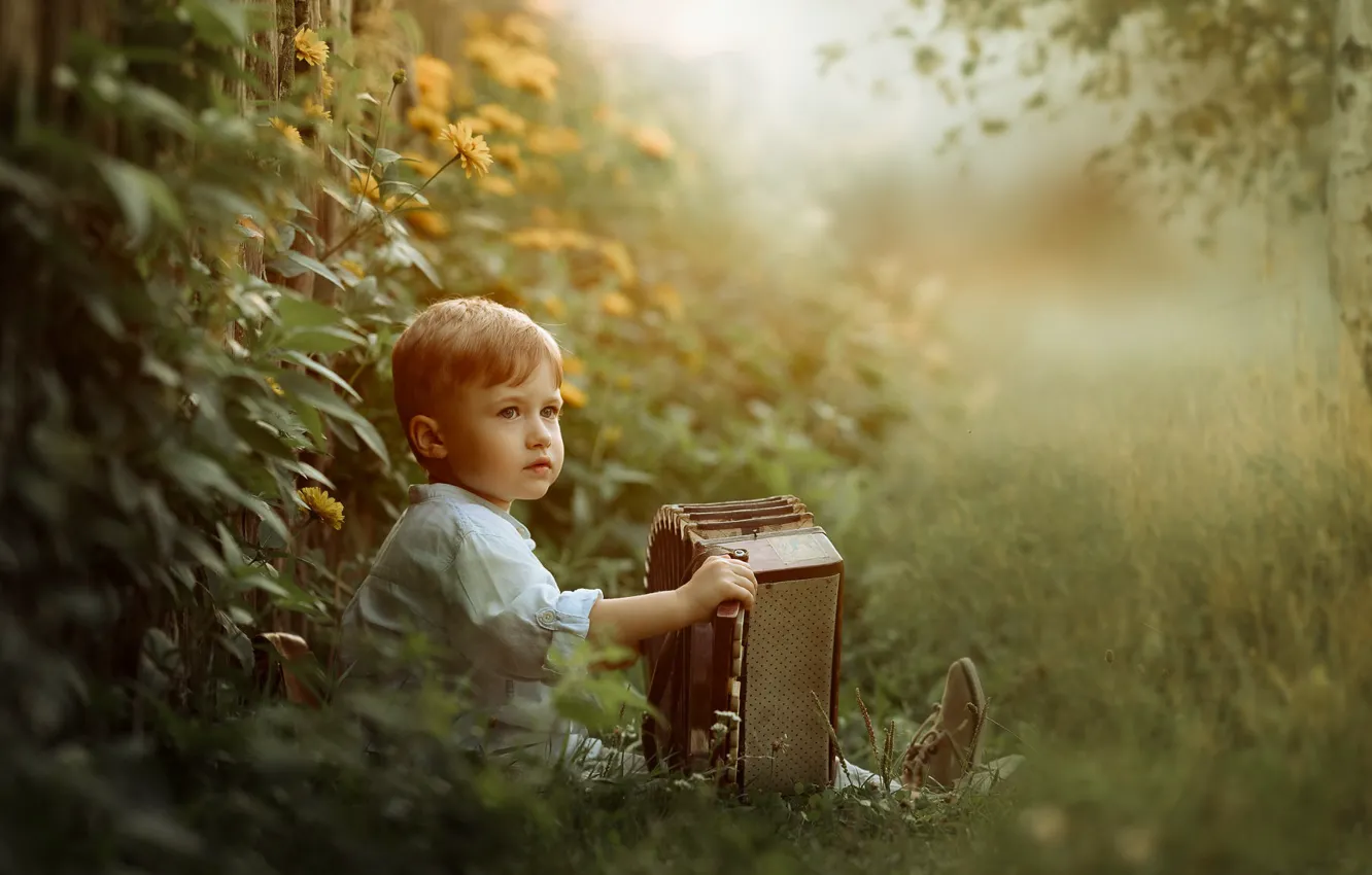 Photo wallpaper summer, boy, accordion