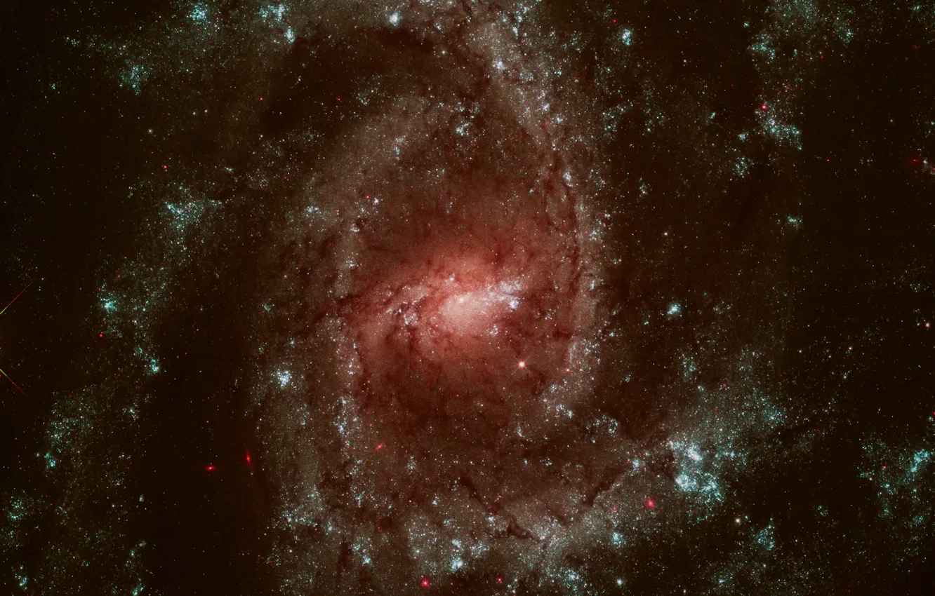 Photo wallpaper substance, spiral galaxy, jumper, multi - sleeve, NGC 2835