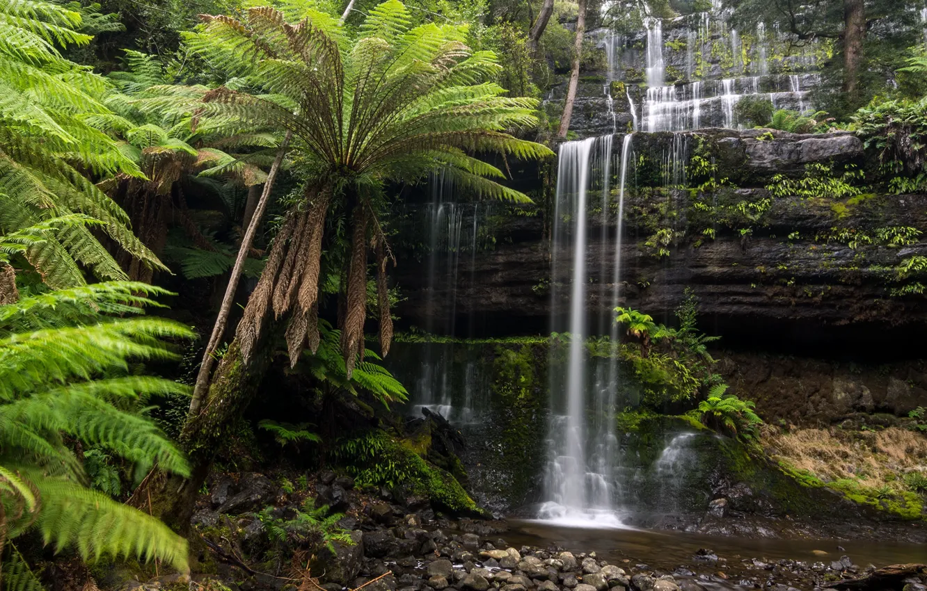 Photo wallpaper water, waterfall, fern