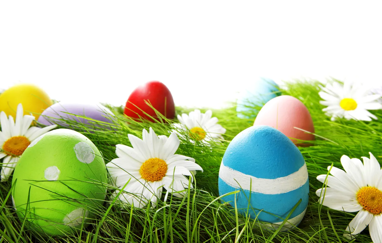 Photo wallpaper grass, flowers, eggs, spring, Easter