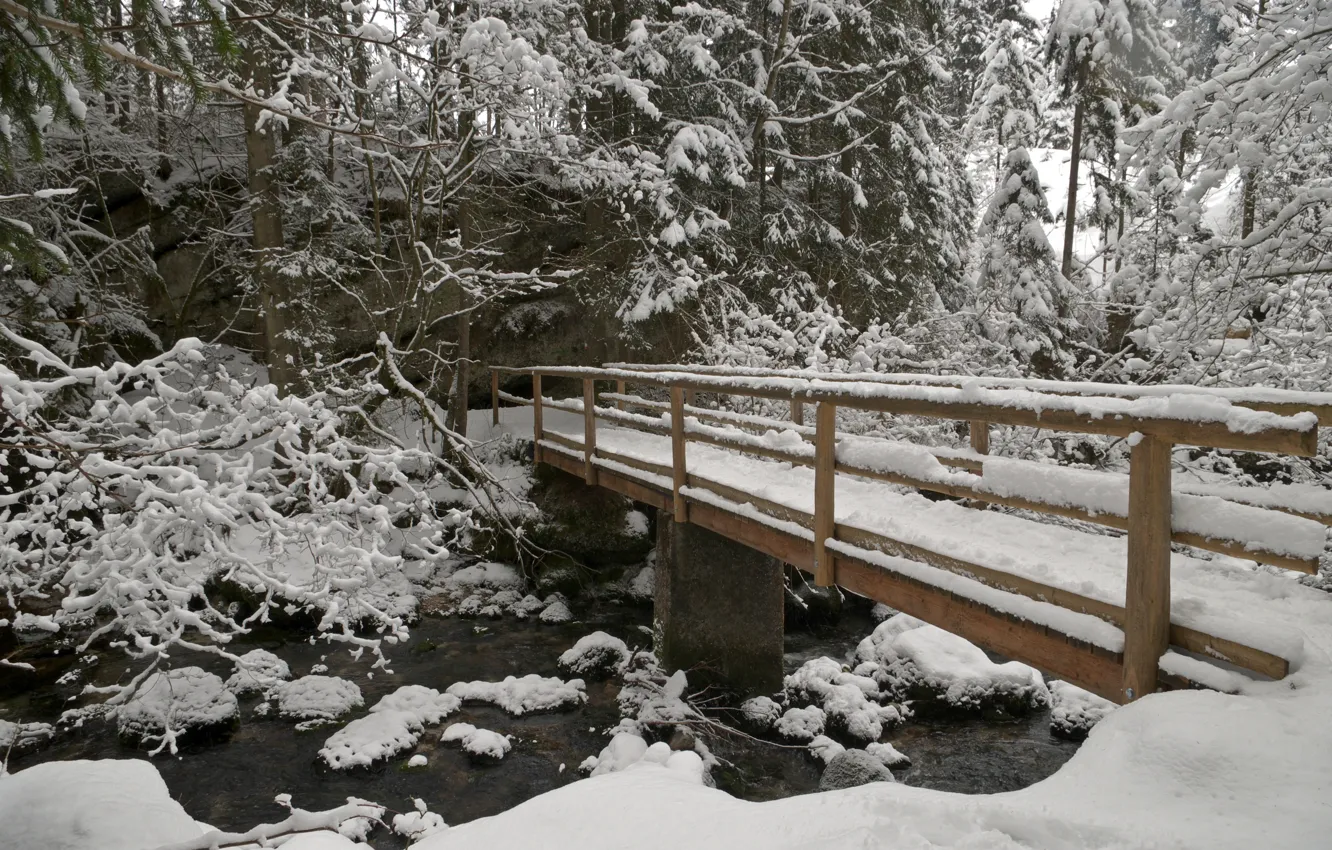 Photo wallpaper winter, forest, snow, nature, frost, forest, the bridge, nature