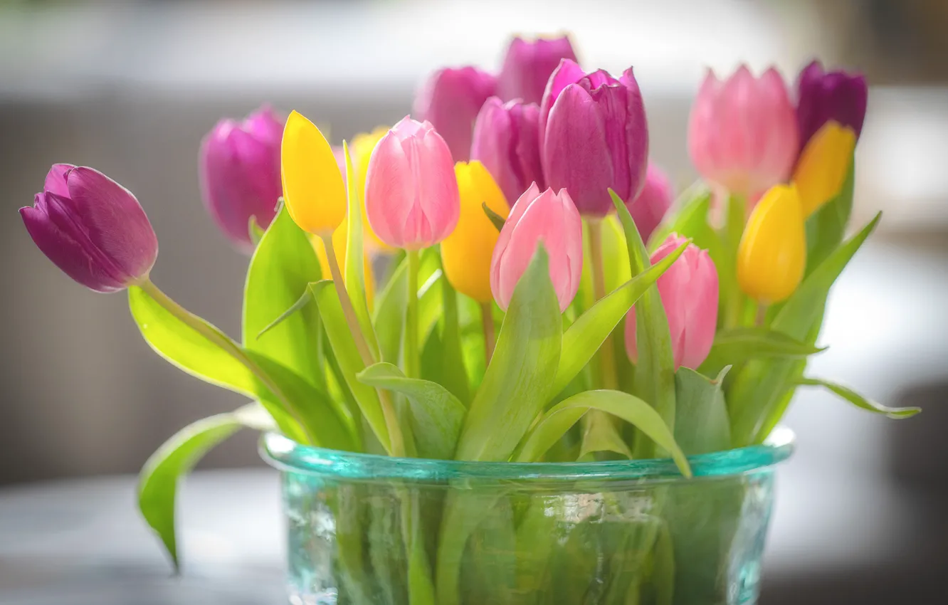 Photo wallpaper bouquet, tulips, vase, pink