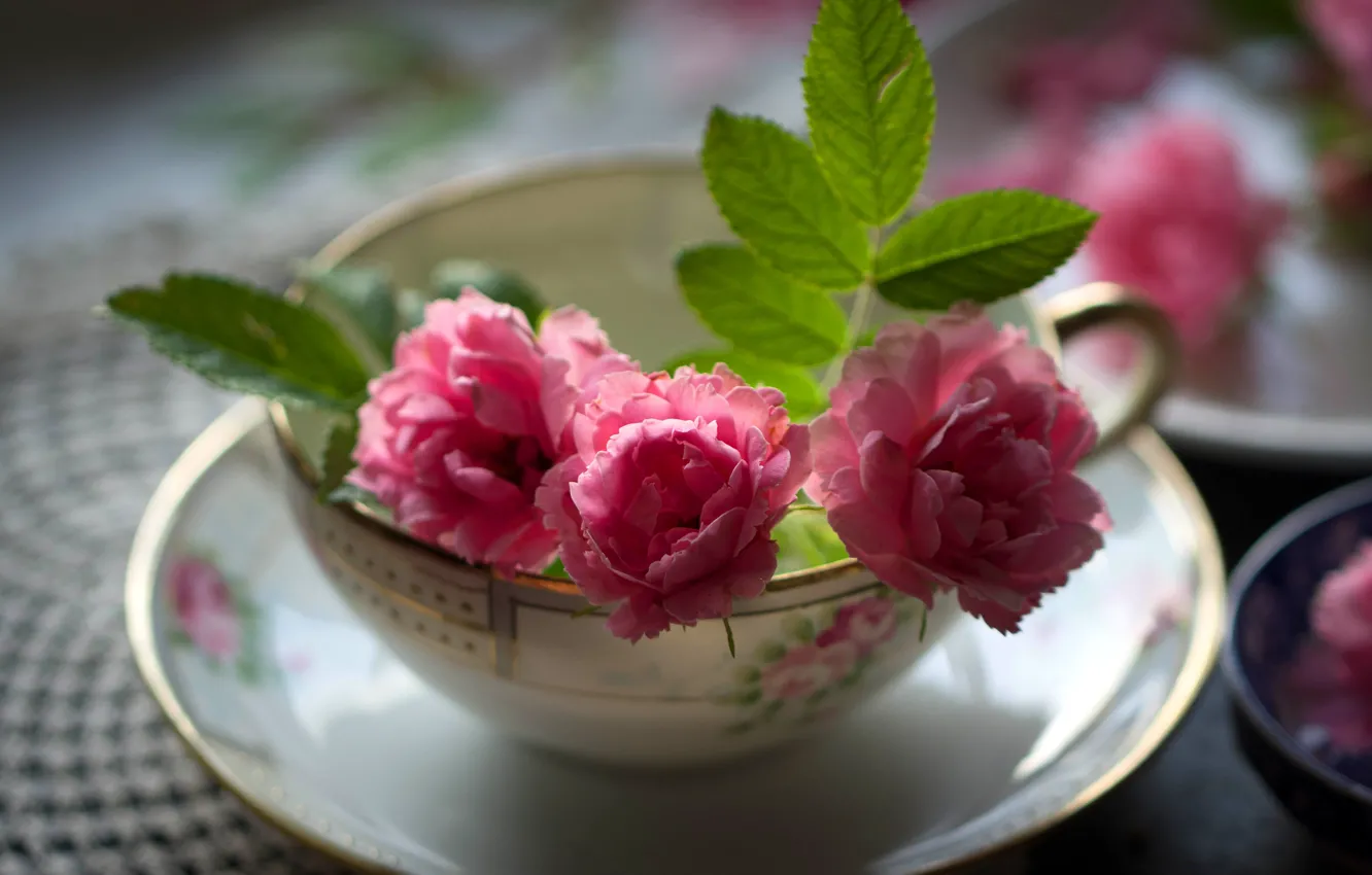 Photo wallpaper leaves, light, flowers, table, background, roses, blur, mug