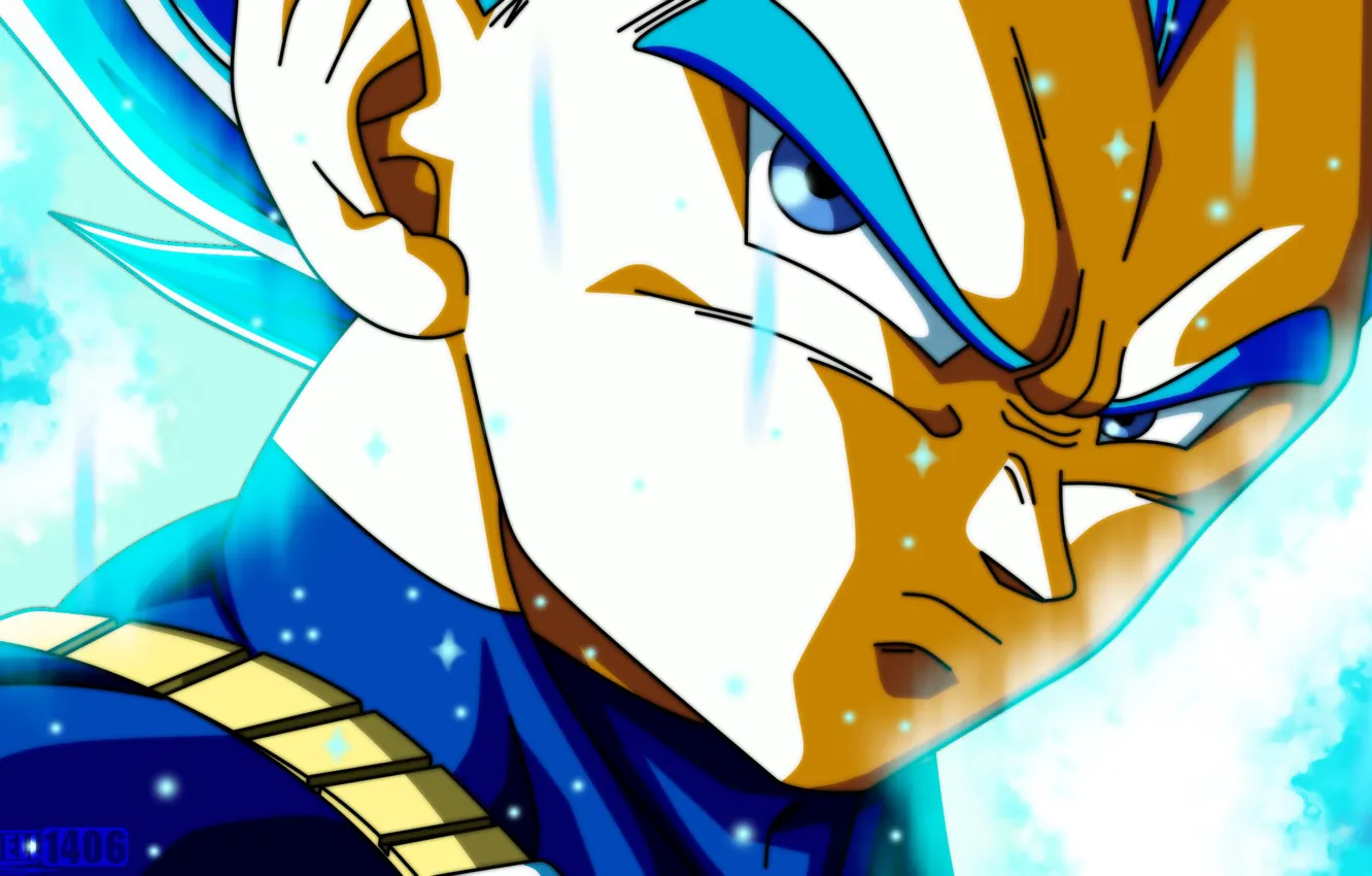 Photo wallpaper vegeta, Dragon ball, super saiyan blue, Dragon Ball Supuer, dragon ball super