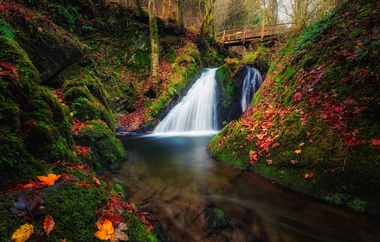 Photo wallpaper autumn, forest, waterfall