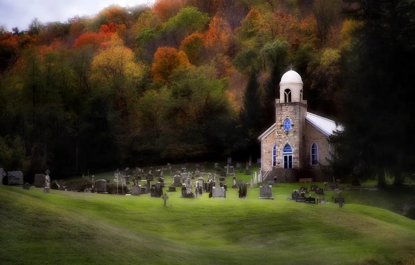 Photo wallpaper field, autumn, forest, grass, trees, graves, foliage, Church