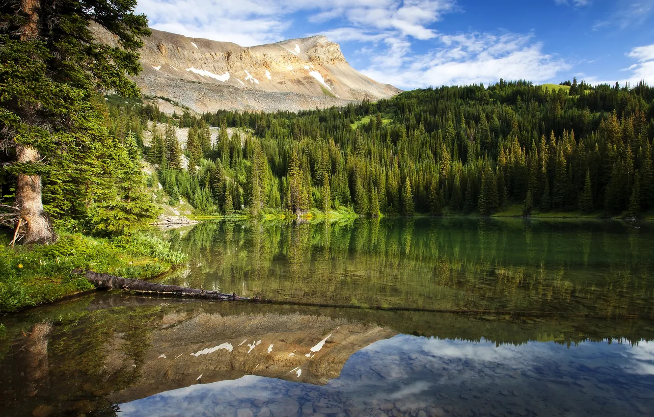 Photo wallpaper forest, mountains, lake, reflection, Canada