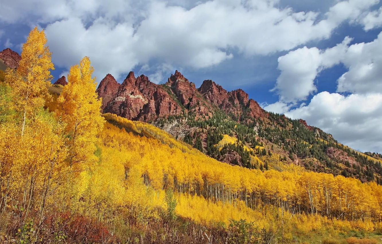 Photo wallpaper autumn, forest, trees, mountains, Colorado, Colorado, Maroon Bells, Sievers Mountain