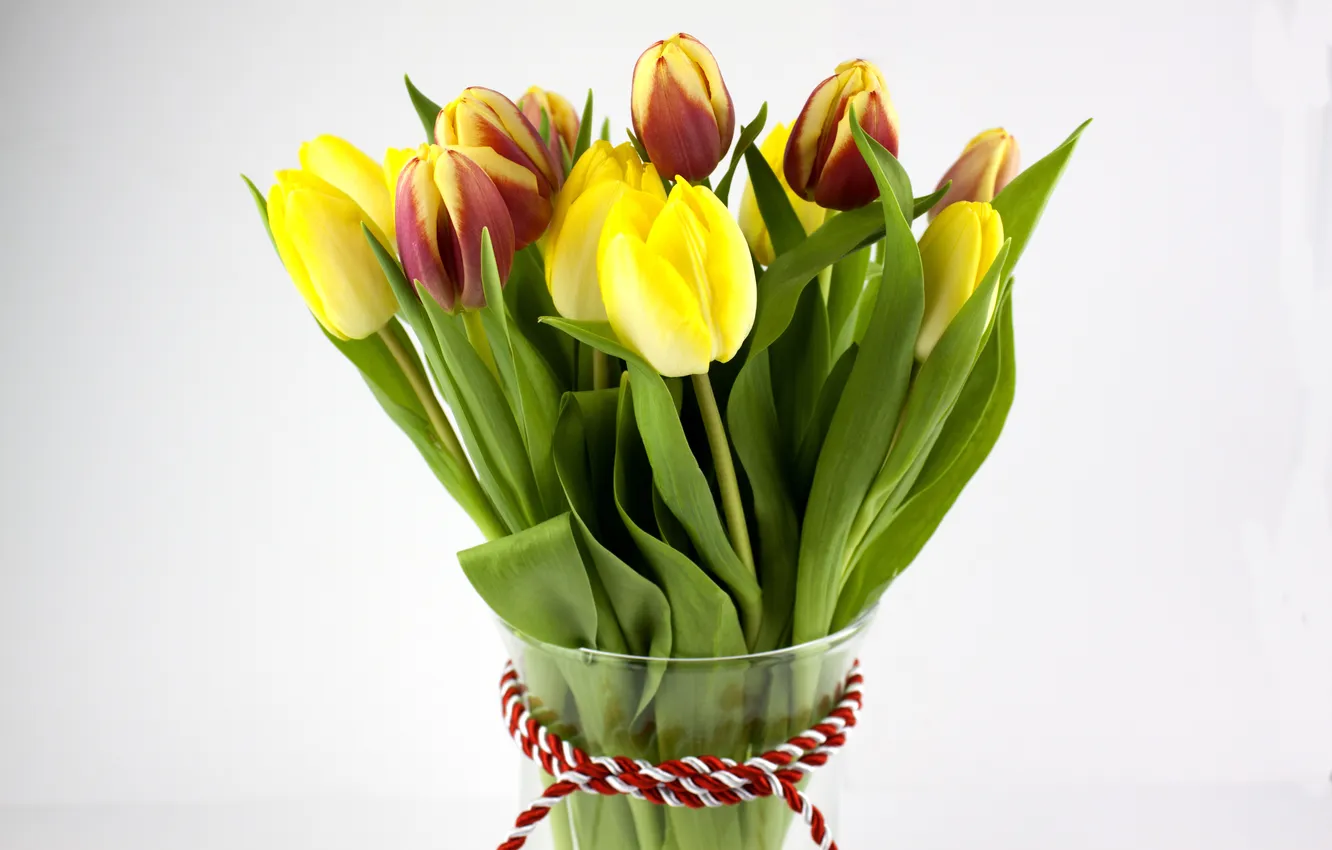 Photo wallpaper tulips, flowers, tulips, bouquet