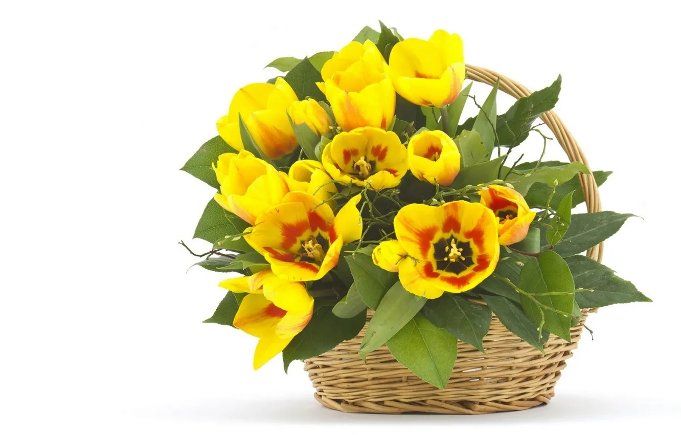 Photo wallpaper leaves, basket, tulips, yellow