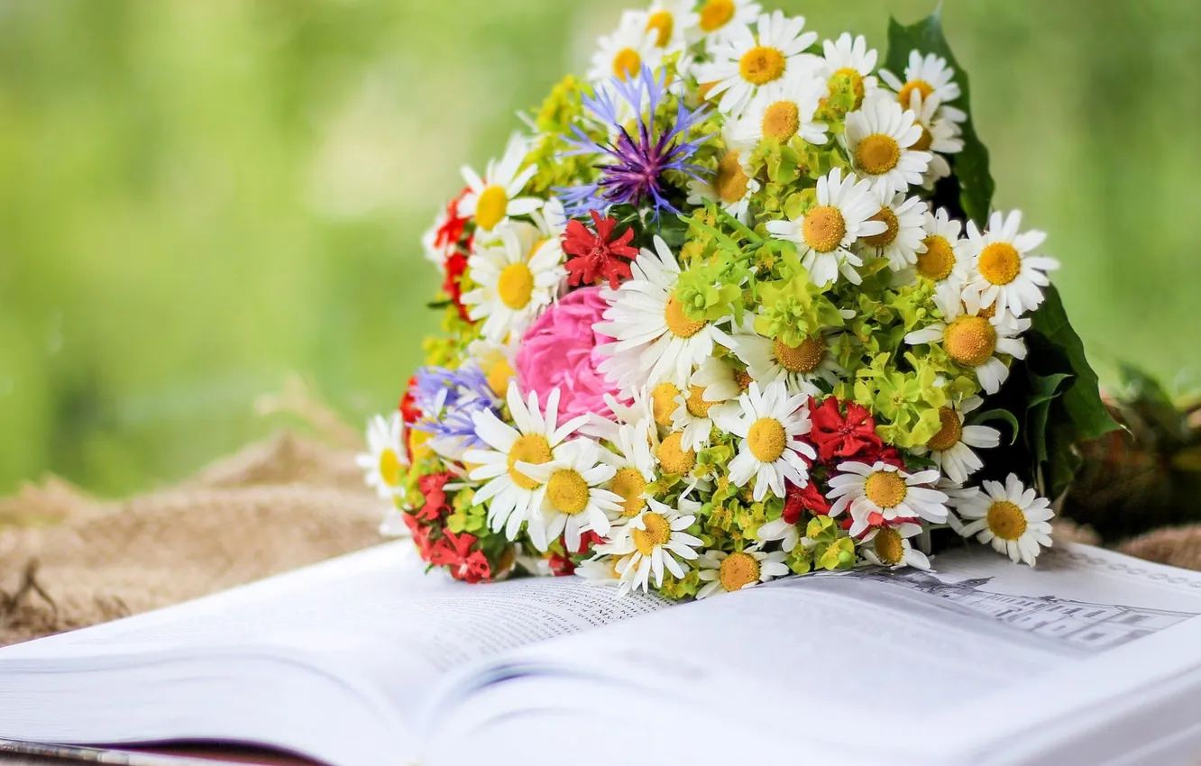 Photo wallpaper flowers, chamomile, bouquet, book, meadow