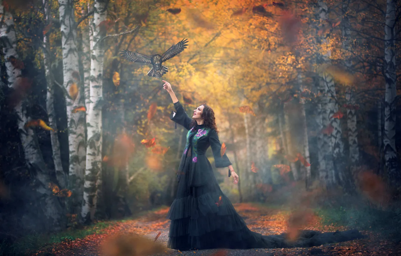 Photo wallpaper autumn, forest, girl, nature, pose, Park, owl, bird