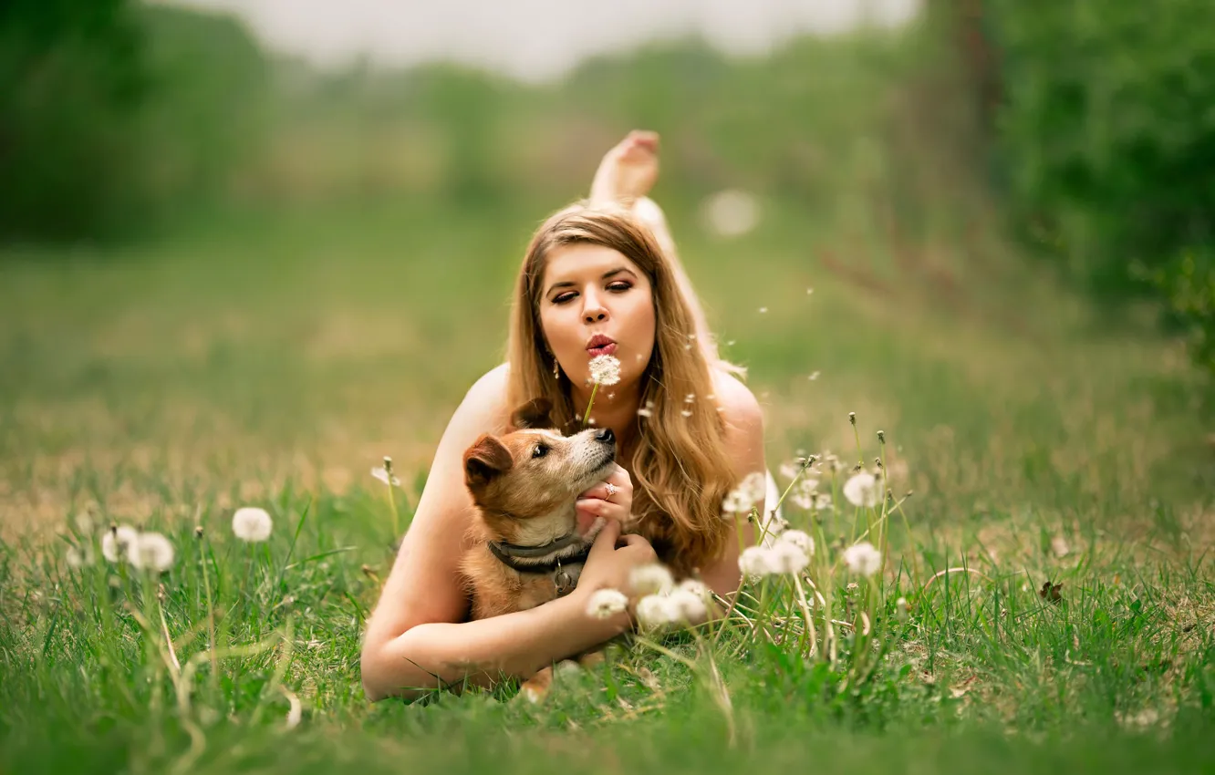 Photo wallpaper girl, glade, woman, dog, dandelions