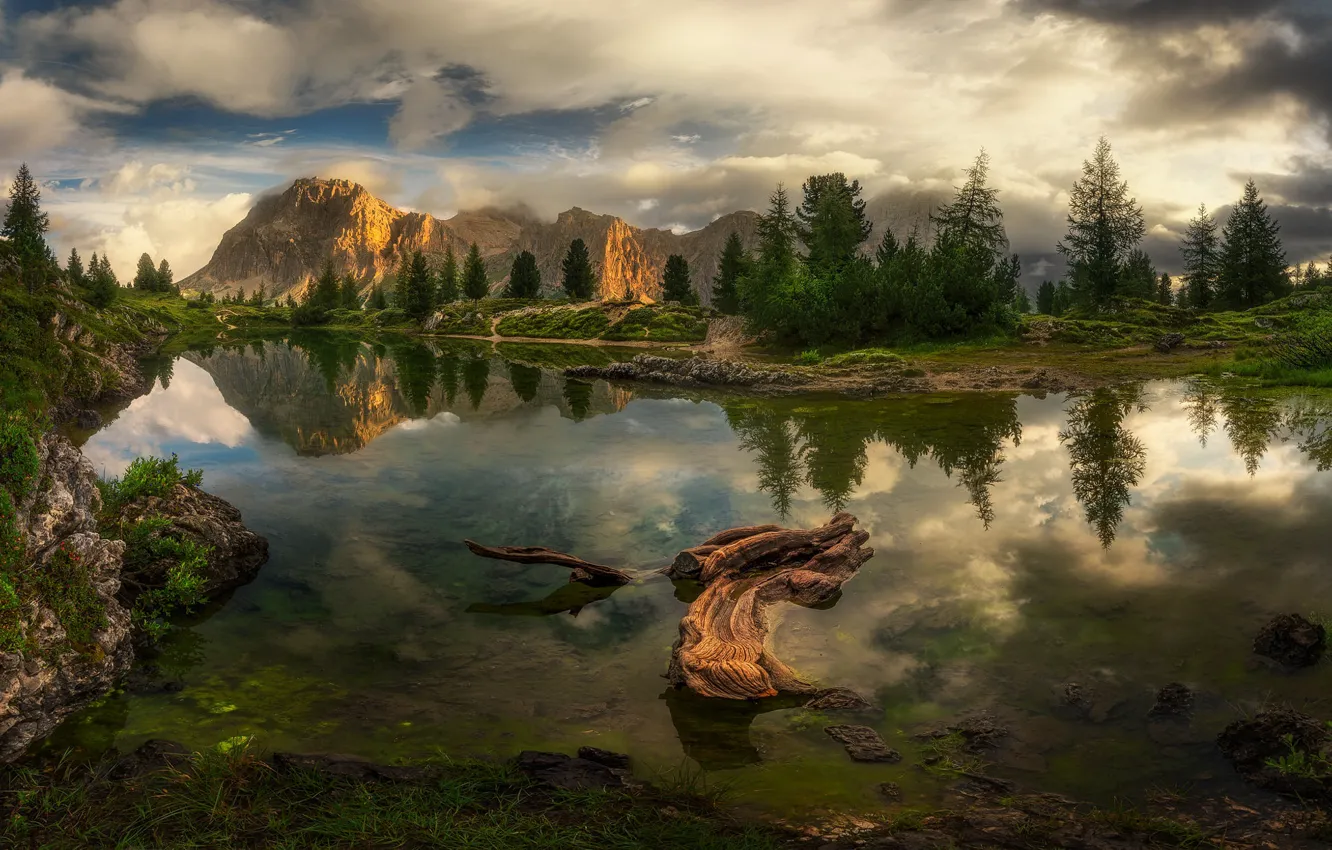 Photo wallpaper forest, mountains, snag, pond