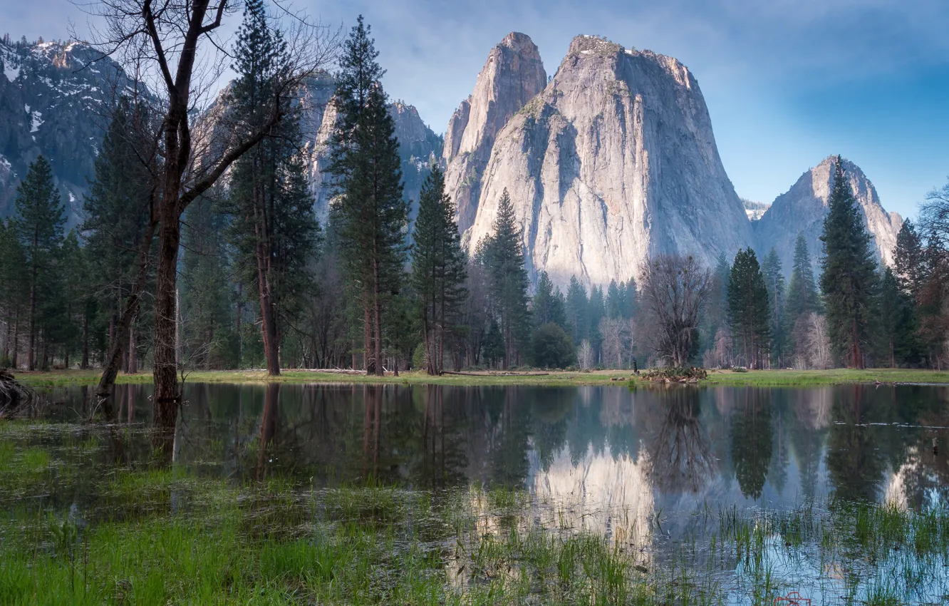 Photo wallpaper forest, trees, mountains, river, rocks, CA, USA, Yosemite