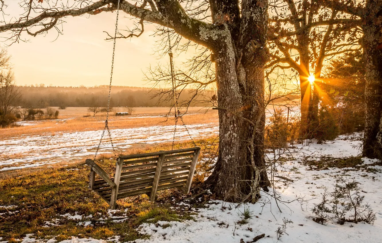 Photo wallpaper winter, trees, swing