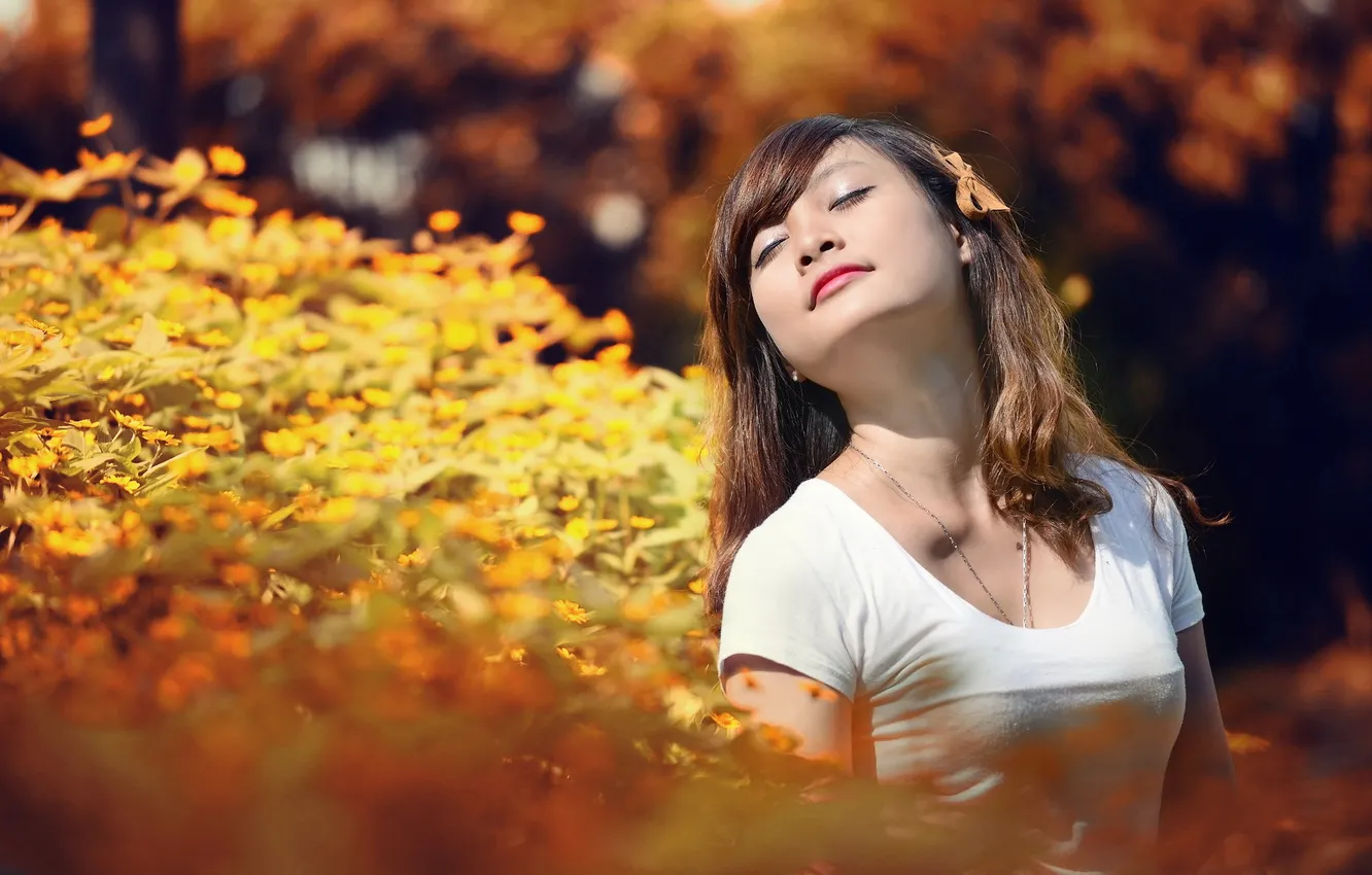 Photo wallpaper autumn, girl, Asian