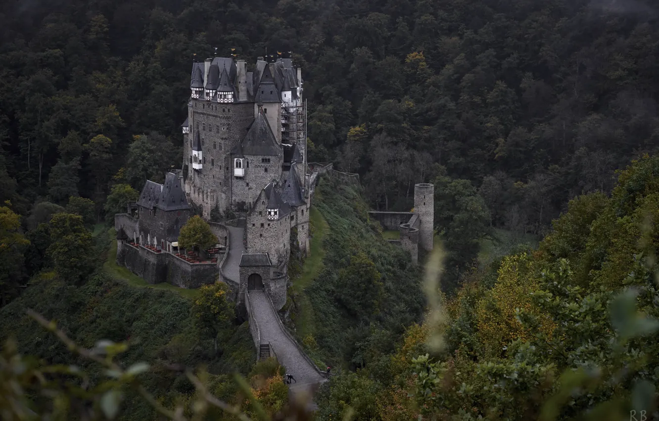 Photo wallpaper forest, landscape, nature, castle, Germany, ELTZ
