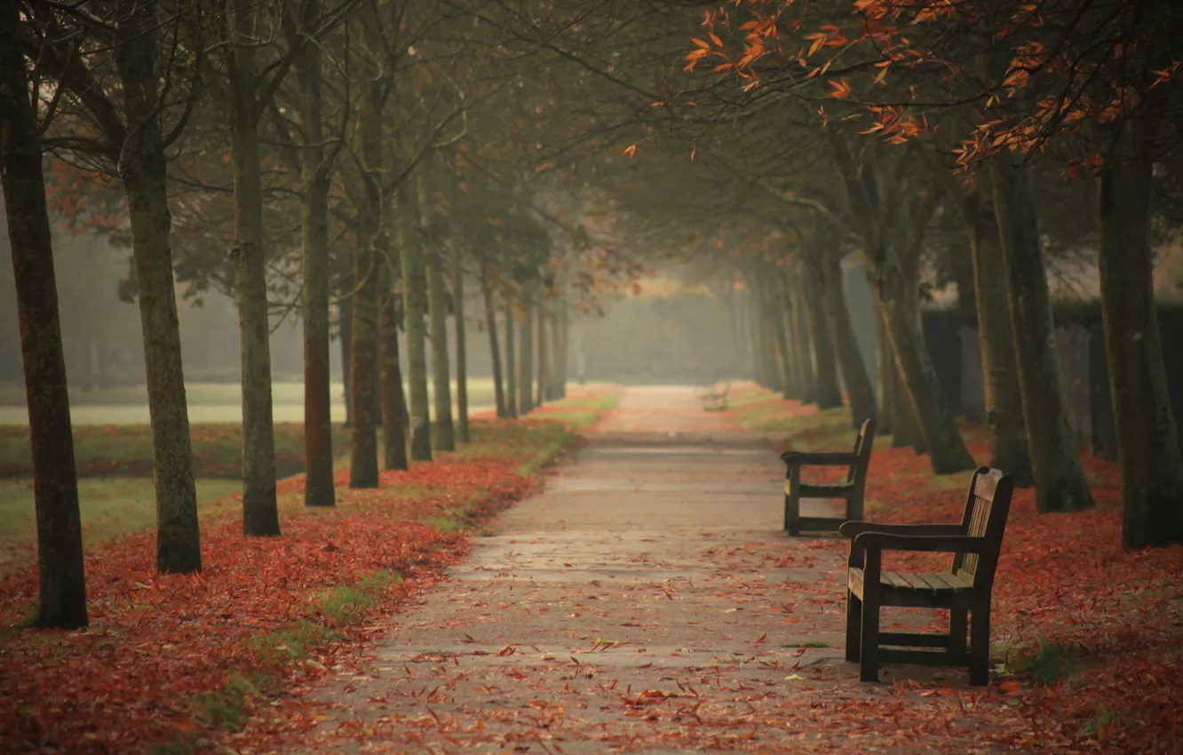 Photo wallpaper autumn, the city, street