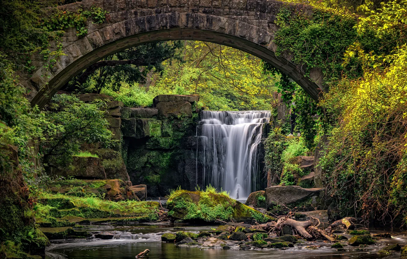 Photo wallpaper forest, trees, bridge, stones, waterfall, moss, England, Jesmond dean waterfall